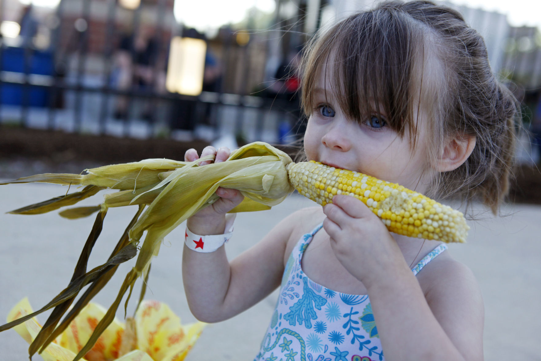 Crown Point Corn Roast